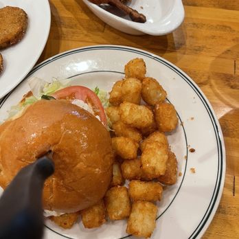 Phoebe's Diner - -Chicken Sandwich- - Diners Near Me - Austin, Texas Phoebe's Diner - -Chicken Sandwich- - Diners Near Me - Austin, Texas