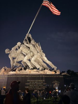 USA Guided Tours by null