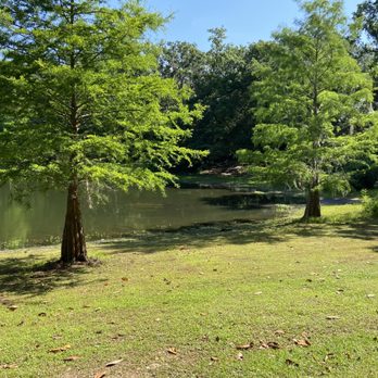 evans pond park - Parks Near Me - Tallahassee, Florida evans pond park - Parks Near Me - Tallahassee, Florida