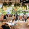 Cala gift card