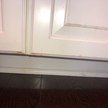 Cleaning MDs - Home Cleaning Near Me - Laurel Springs, New Jersey