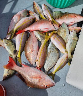 Captain Charlie's Original Reef Grill by null