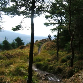 Kirroughtree Visitors Centre Cafe - Coffee & Tea Near Me - Newton Stewart, DGY Kirroughtree Visitors Centre Cafe - Coffee & Tea Near Me - Newton Stewart, DGY