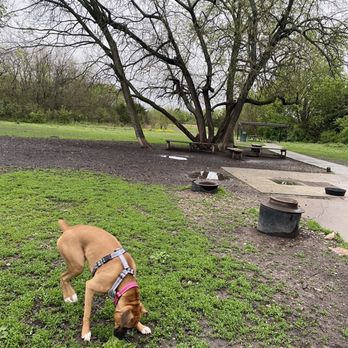 Mutt Run - Dog in park - Dog Parks Near Me - Lawrence, Kansas