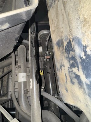 Clawson Motorsports by null