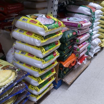 Indian Grocery - Rice - Grocery Near Me - Columbia, South Carolina Indian Grocery - Rice - Grocery Near Me - Columbia, South Carolina