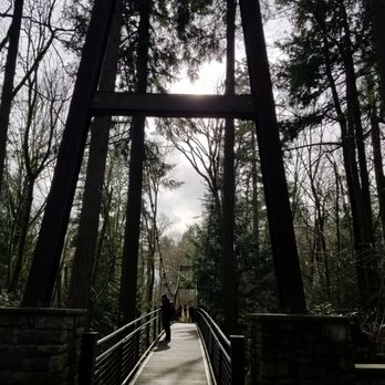 Bellevue Botanical Garden - Ravine experience - Botanical Gardens Near Me - Bellevue, Washington
