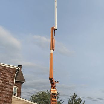 Jp Tree - Tree Services Near Me Jp Tree - Tree Services Near Me