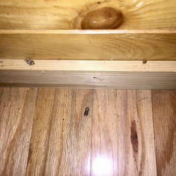 Aunt Bug's Cabin Rentals - Bugs - Vacation Rentals Near Me - Pigeon Forge, Tennessee Aunt Bug's Cabin Rentals - Bugs - Vacation Rentals Near Me - Pigeon Forge, Tennessee
