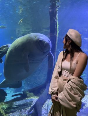 The Dallas World Aquarium by null