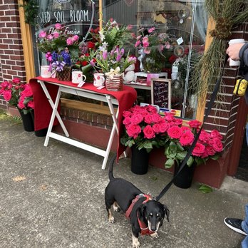 Seed Soil Bloom - Dog friendly flower shop - Florists Near Me - Oak Grove, Oregon Seed Soil Bloom - Dog friendly flower shop - Florists Near Me - Oak Grove, Oregon