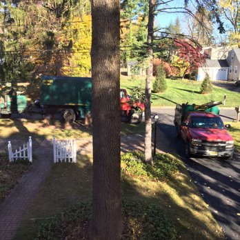Pine Valley Tree Service - Tree Services Near Me - Gillette, New Jersey