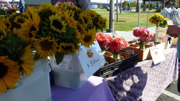 Liberty Lake Farmers Market by null