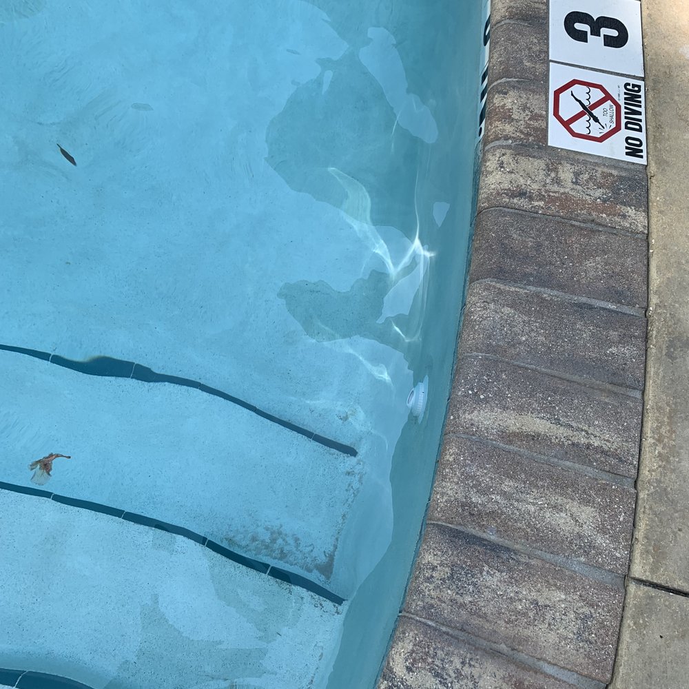 Normal Wednesday at the pool part 2 - Don't get into dirty pools
