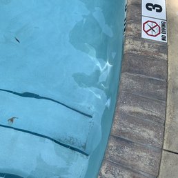 Normal Wednesday at the pool part 2 - Don't get into dirty pools