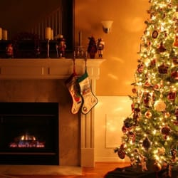 AA Christmas Trees