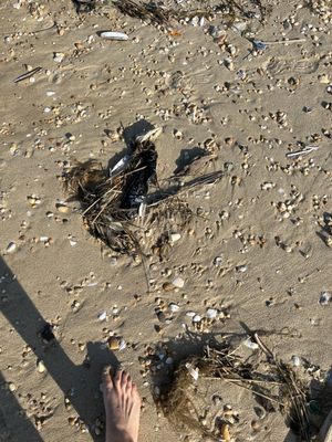 Keansburg Beach by null