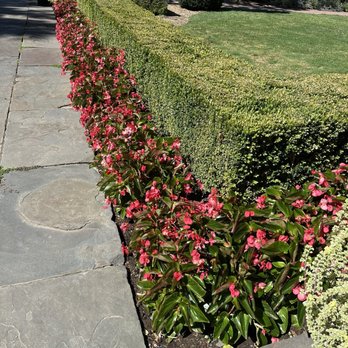 Filoli - Botanical Gardens Near Me - Woodside, California Filoli - Botanical Gardens Near Me - Woodside, California