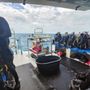 Photo of Key Dives