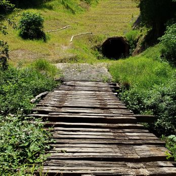 Skunk Train - Tours Near Me - Fort Bragg, California