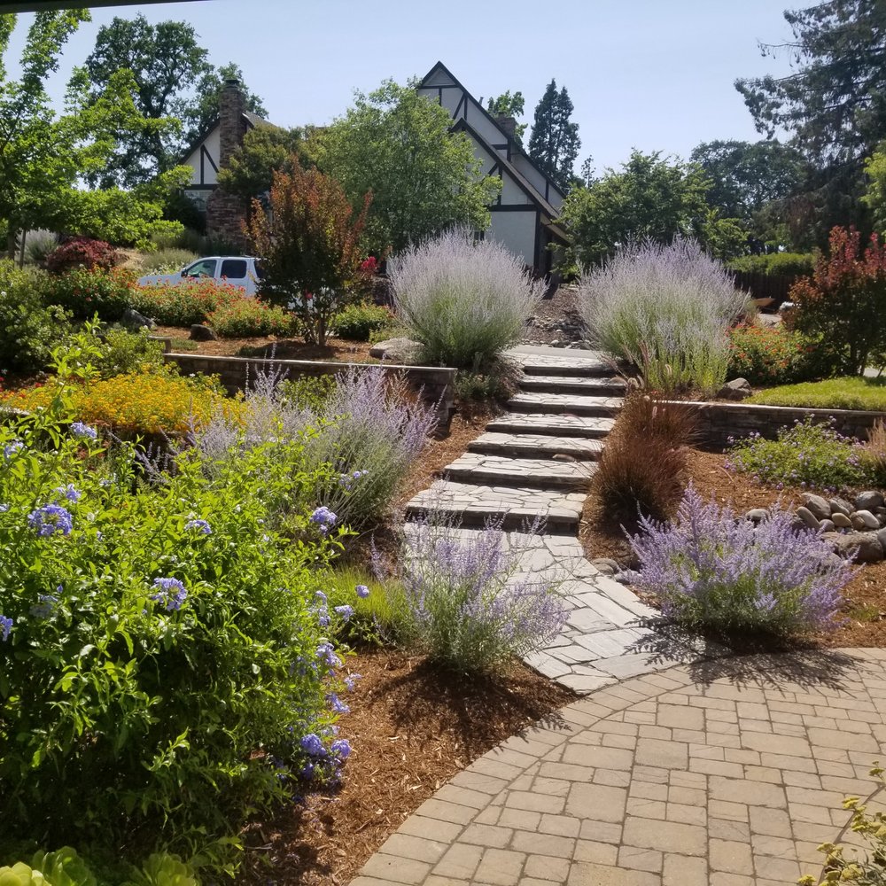 Cascading Falls - After - Landscaping Near Me - Roseville, California Cascading Falls - After - Landscaping Near Me - Roseville, California