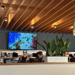 Tsunami Restaurant & Sushi Bar - Sushi bar