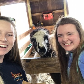 Bluebird Gap Farm - Mama Llama - Parks Near Me - Hampton, Virginia