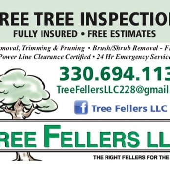 Tree Fellers - Tree Services Near Me Tree Fellers - Tree Services Near Me