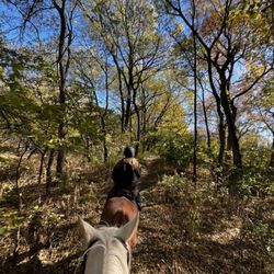A Wilderness Stable - The trails
