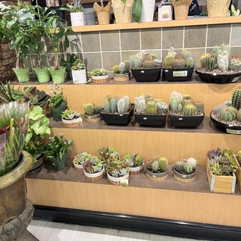 Jensen's Florist & Fine Foods - Grocery Near Me - Palm Desert, California Jensen's Florist & Fine Foods - Grocery Near Me - Palm Desert, California
