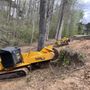Photo of Always Grinding Stump Removal