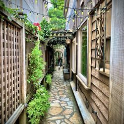 The Xocolatl Garden - Looking into the alley.