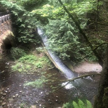 Whatcom Falls Park - Low stream - Dog Parks Near Me - Bellingham, Washington Whatcom Falls Park - Low stream - Dog Parks Near Me - Bellingham, Washington