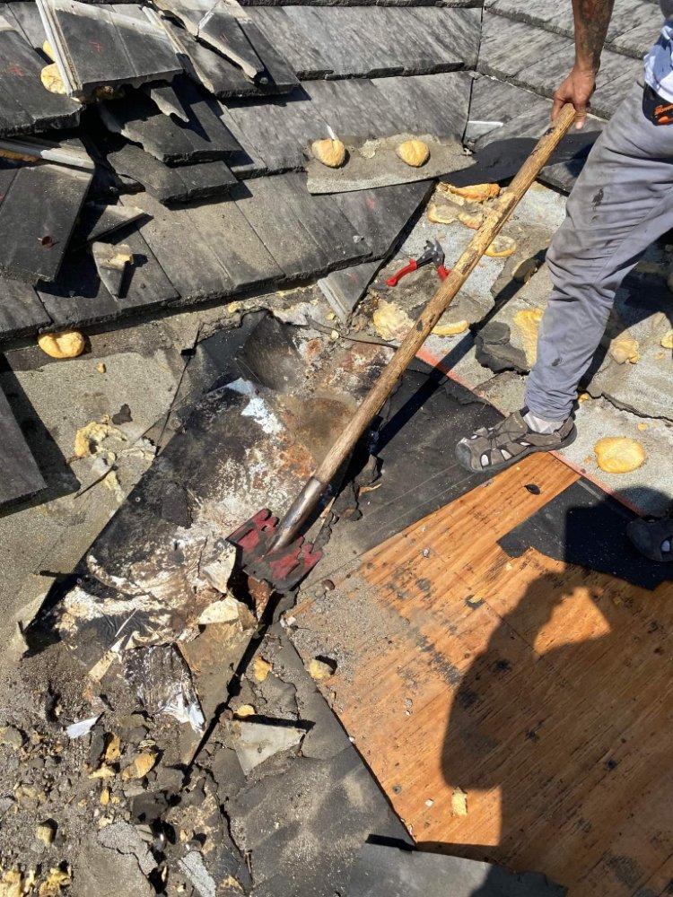 Slide of Longhorns Roofing