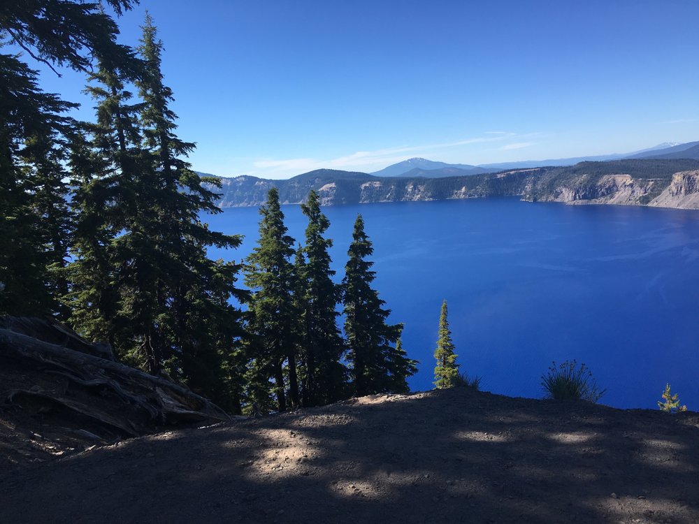 MICHELLE WITT REALTY ONE GROUP DISCOVERY Contact Agent Real