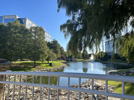Texas Sculpture Garden by null