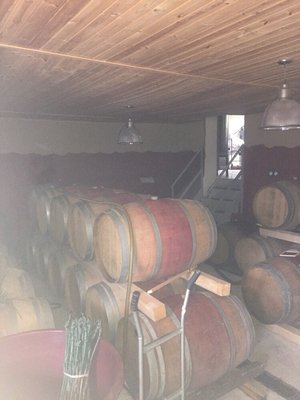 Podere Còncori by null