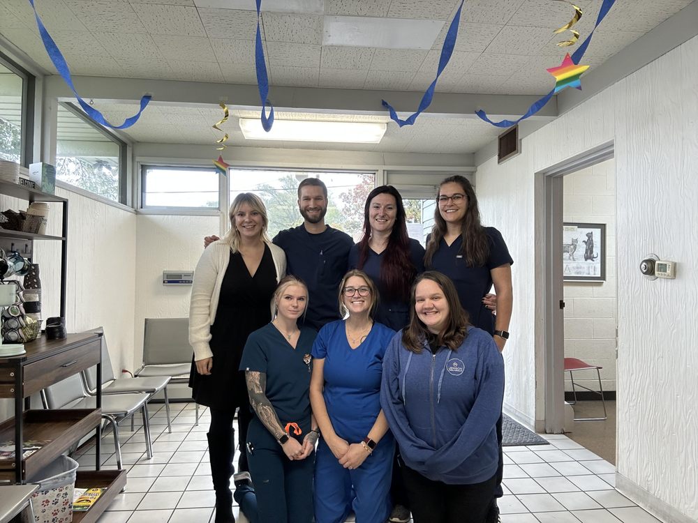 JENISON ANIMAL HOSPITAL - Updated June 2025 - 18 Reviews - 648 Chicago