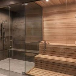Luxe Shower Door