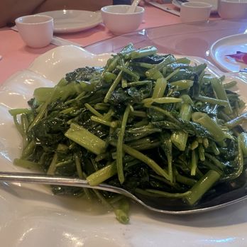 Shanghailander Palace - 705. Light Fried Water-Spinach - Asian Fusion Near Me - Hacienda Heights, California Shanghailander Palace - 705. Light Fried Water-Spinach - Asian Fusion Near Me - Hacienda Heights, California