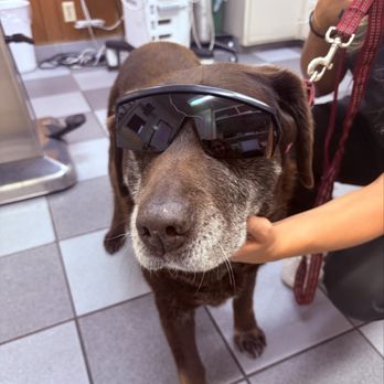 Small Animal Hospital - Veterinarians Near Me - Riverside, California Small Animal Hospital - Veterinarians Near Me - Riverside, California