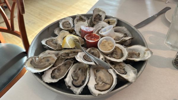 The Oyster Company by null
