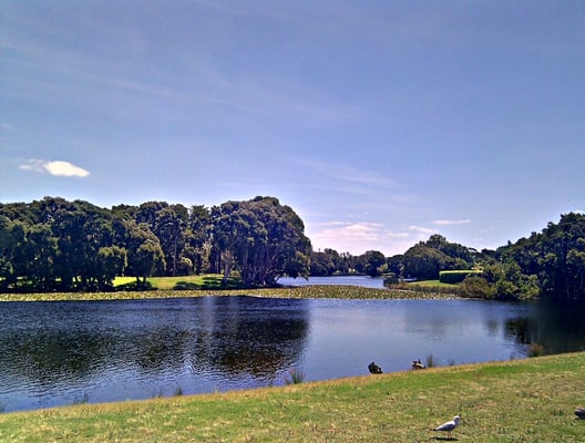 Centennial Park by null