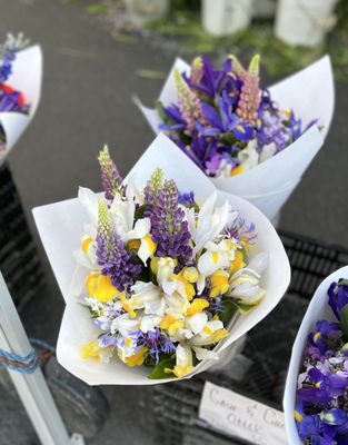 Bellevue Farmers Market by null