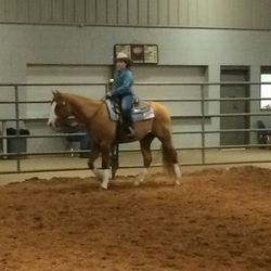 LA Ranch Stables & Riding Center - Avery Davis & SmokinGottaGun  "Hollywood" won MTQHA Youth Ranch Champion!