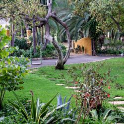A Country Oasis - Lawn area