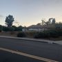 Photo of Green Cali Tree Service
