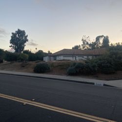 Green Cali Tree Service - After