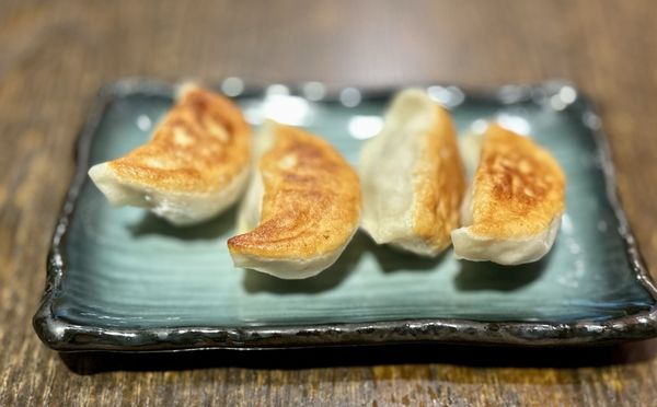 Dynasty Dumpling by null