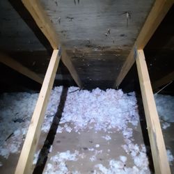 PurEnvironment - Mold .. Look like .. Did they Forget to do this ..